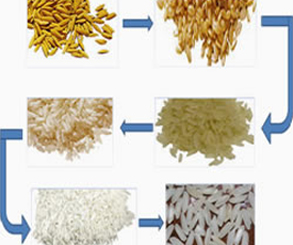 rice polishing1.jpg рис polishing1.jpg